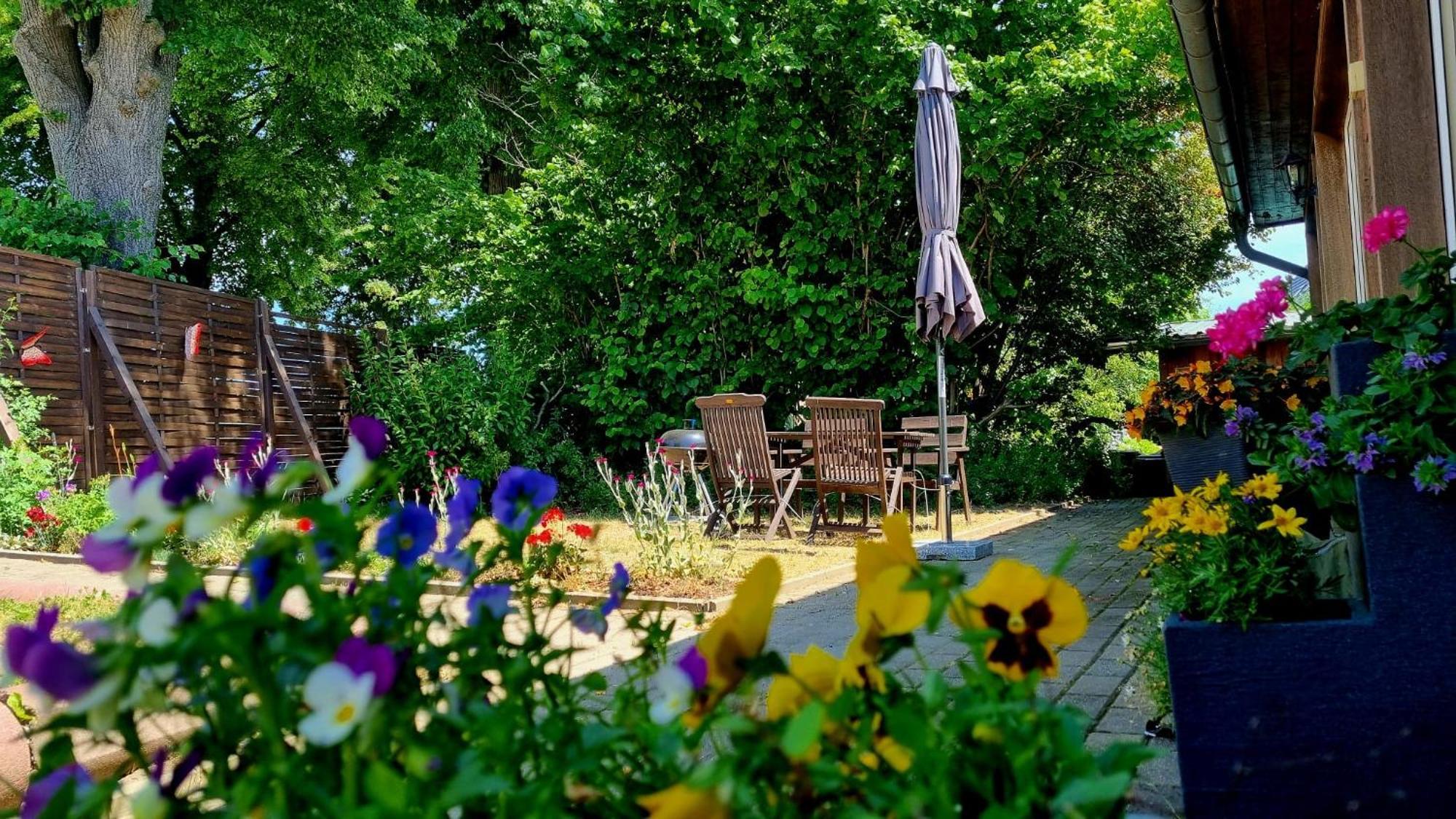 W5 - Urlaubsmagie - Wohnung Mit Grill, Terrasse & Pool Lichtenhain  Экстерьер фото